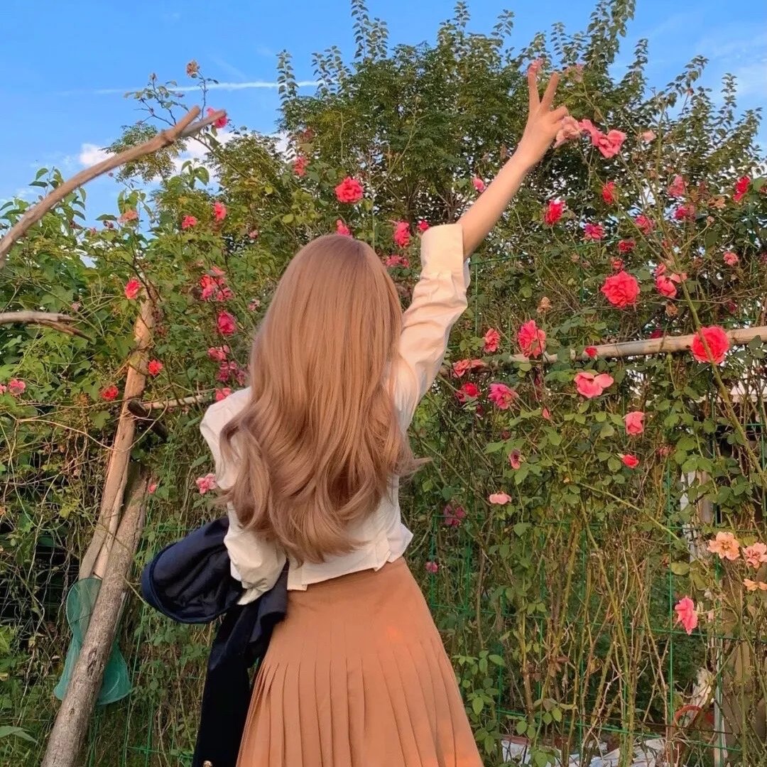 芙蓉春色