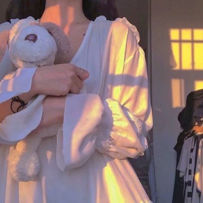 芬妮的勇敢旅程